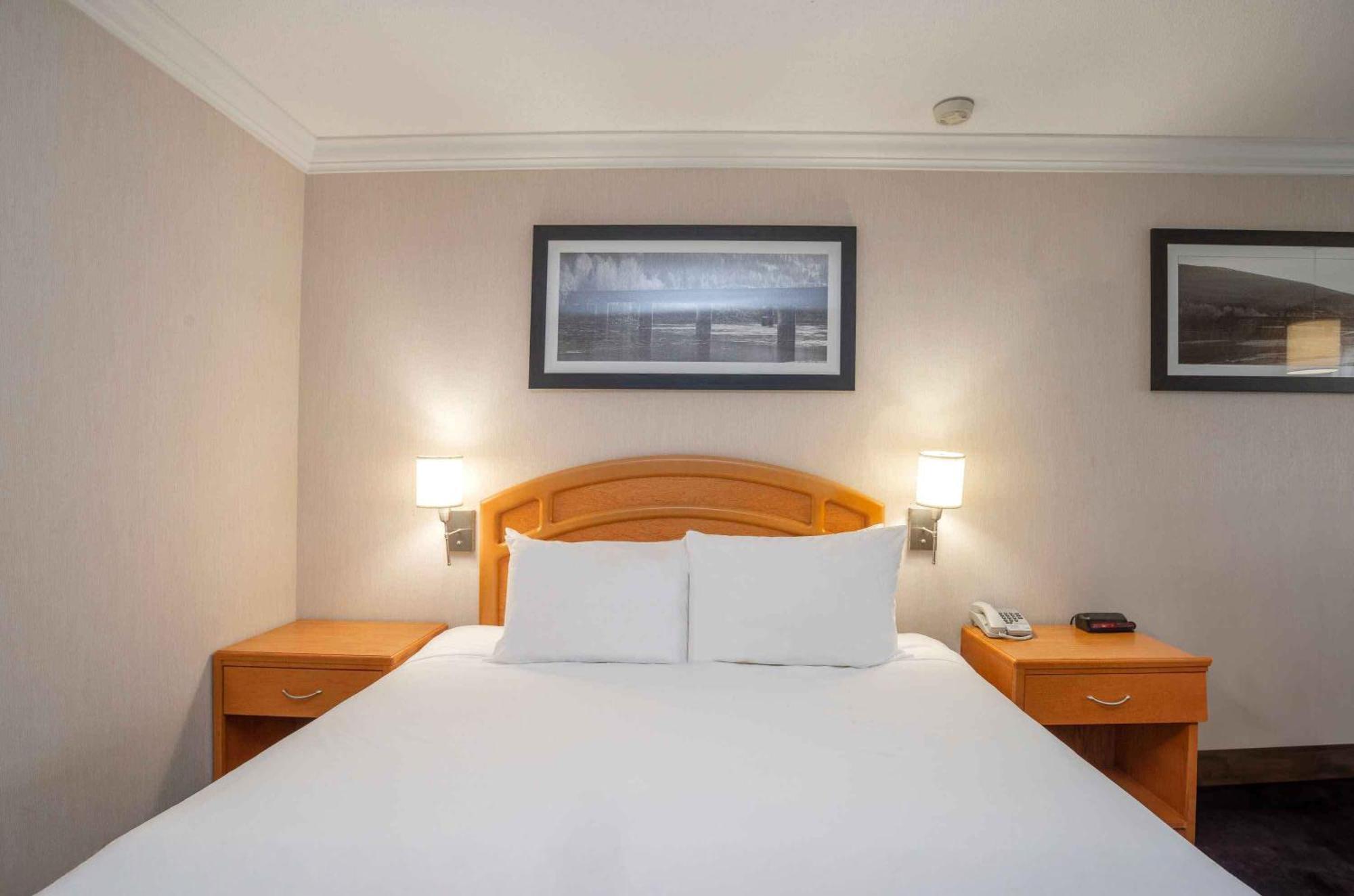 Standard Room 1 King Bed Monashee Building